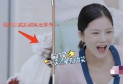 程莎莎爆料杜淳视频大全,真相大白背后的惊人内幕